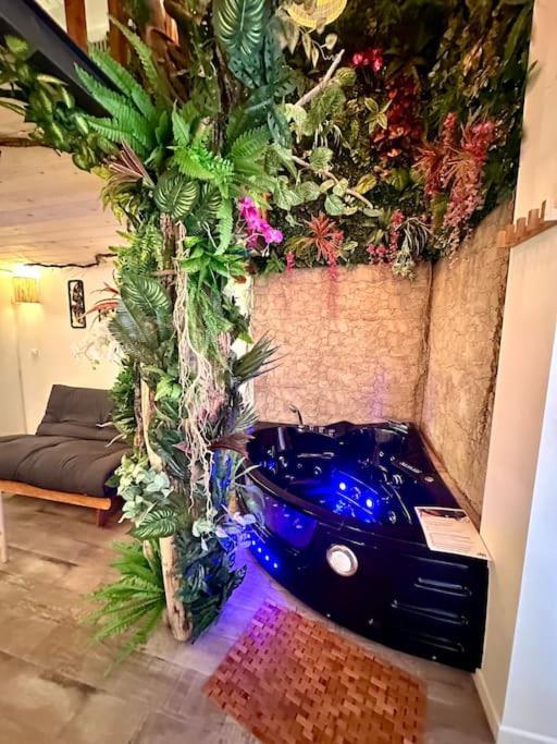 Appartamento Jungle Avec Jaccuzi