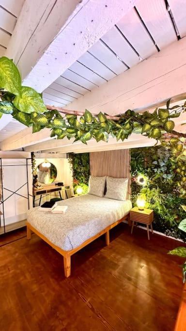 Jungle Avec Jaccuzi * Nizza