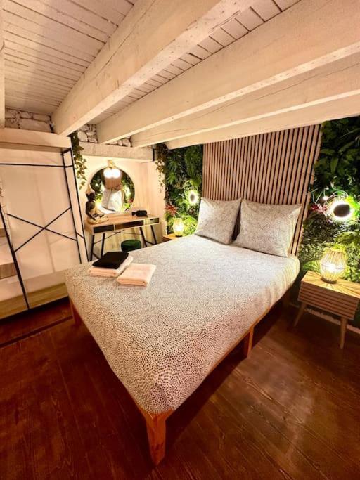 Appartamento Jungle Avec Jaccuzi