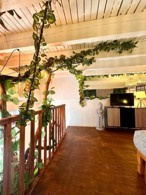 Appartamento Jungle Avec Jaccuzi Nizza