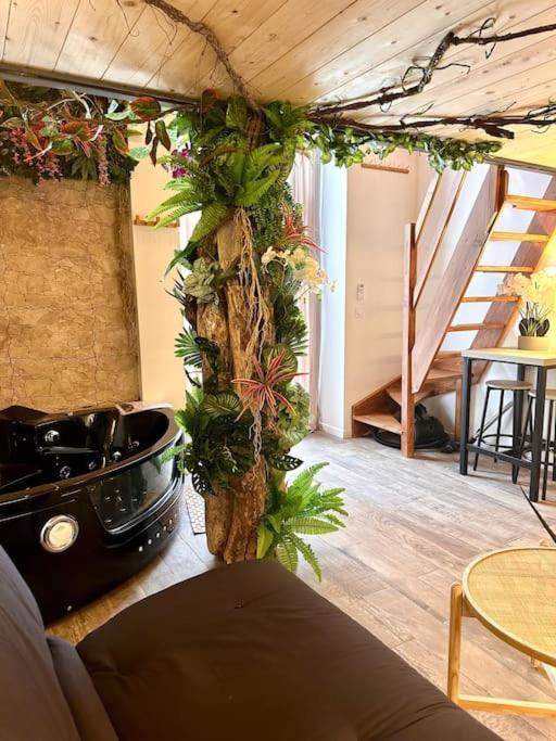 Jungle Avec Jaccuzi * Nizza