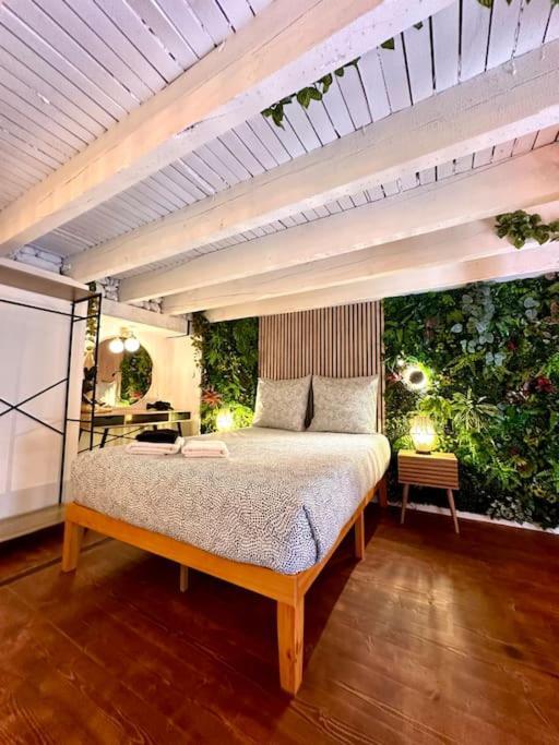 Appartamento Jungle Avec Jaccuzi *