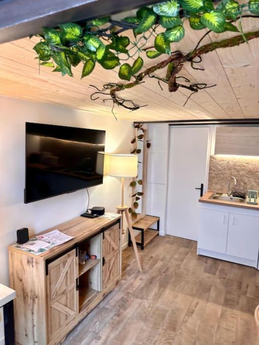 Appartamento Jungle Avec Jaccuzi *