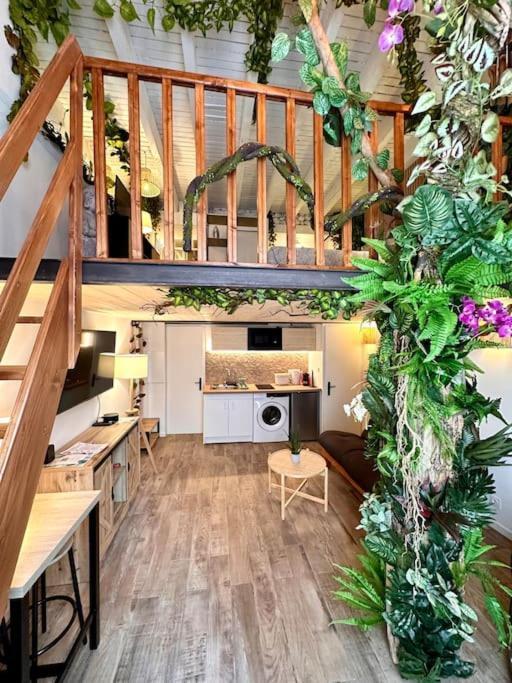 Jungle Avec Jaccuzi Appartamento Nizza