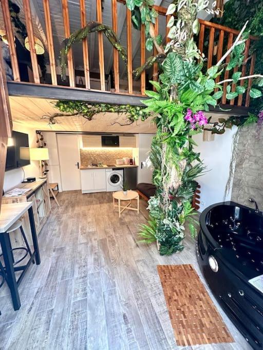 Jungle Avec Jaccuzi Nizza