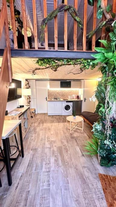 Jungle Avec Jaccuzi