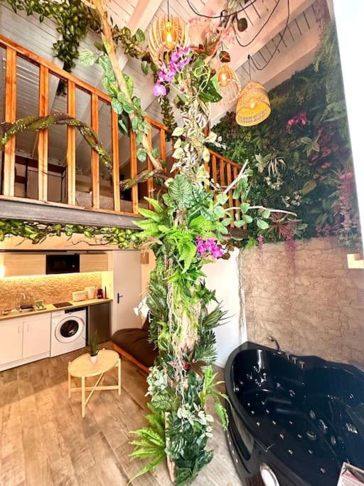 Appartamento Jungle Avec Jaccuzi
