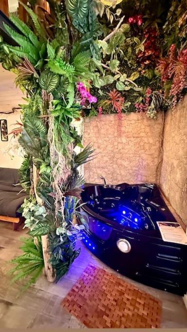 Appartamento Jungle Avec Jaccuzi *